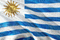 乌拉圭国家足球队旗帜